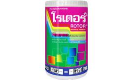 โรเตอร์